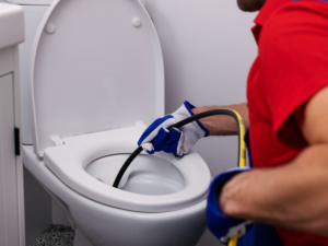 plumber inspecting toilet drain 