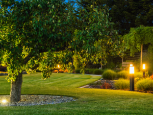 subtle landscape lighting