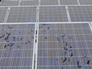 extremely dirty solar panels 