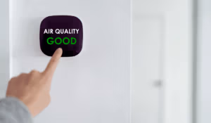 Homeowner using touchscreen connected to whole home air purifier 